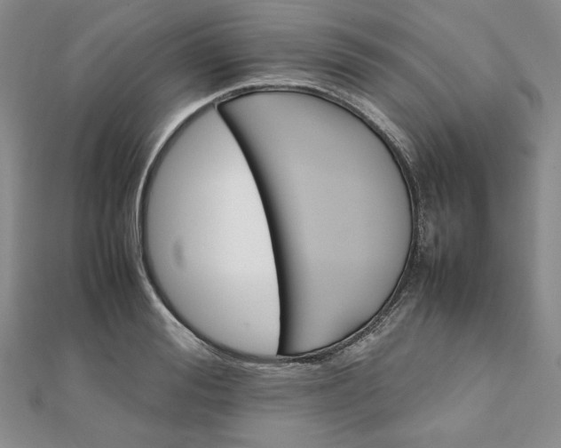 X0000111900988200908101137