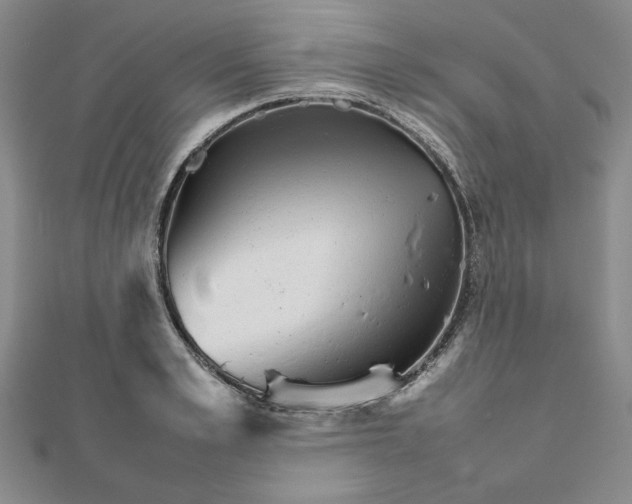 X0000111900989200908101137