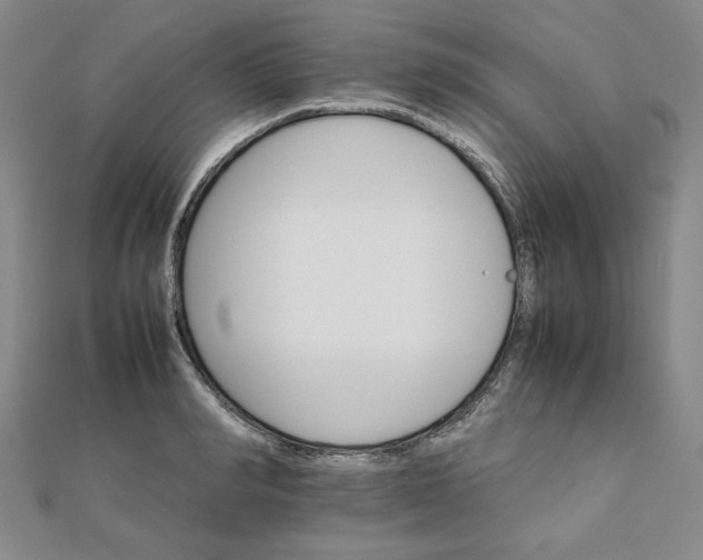 X0000111900990200908101137