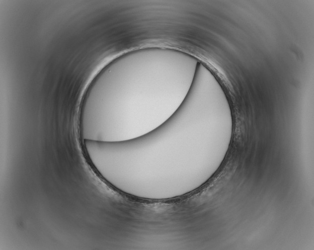 X0000111900992200908101136