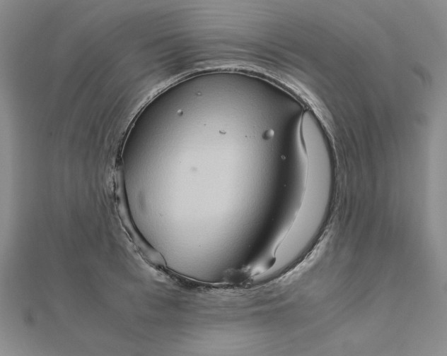 X0000111900993200908101136