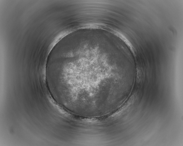 X0000111900994200908101136