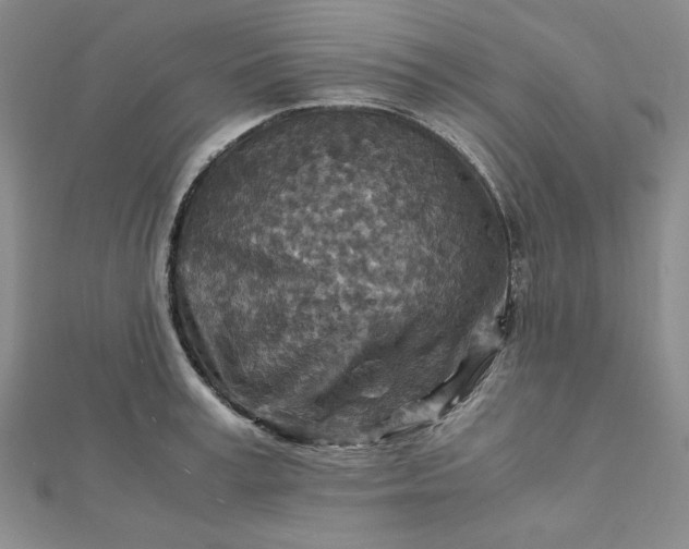 X0000111900995200908101136