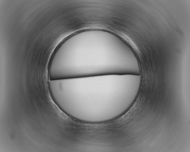 X0000111900996200908101136