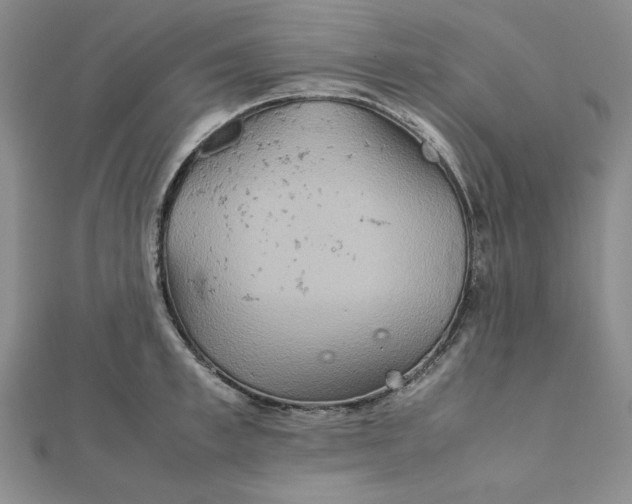 X0000111900997200908101136