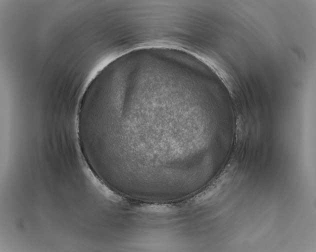 X0000111900998200908101136