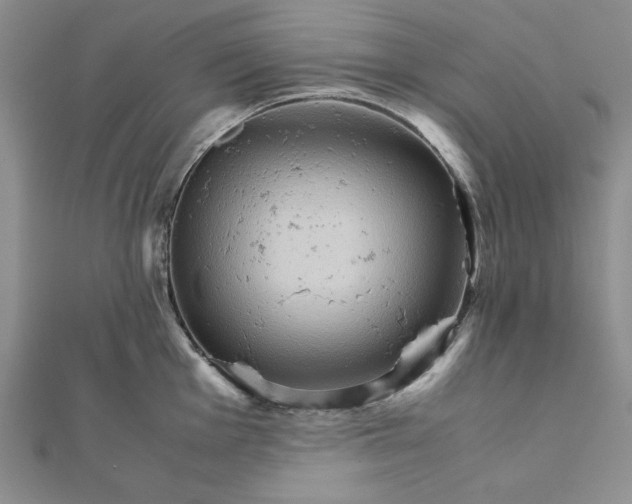 X0000111901001200908101136