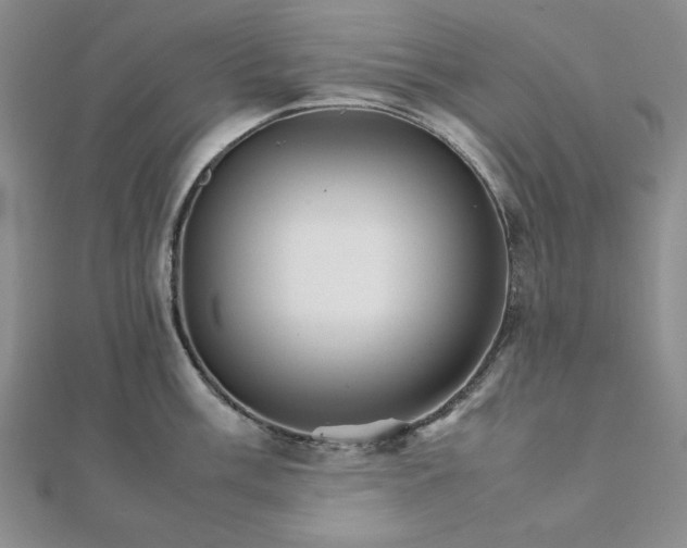 X0000111901003200908101136