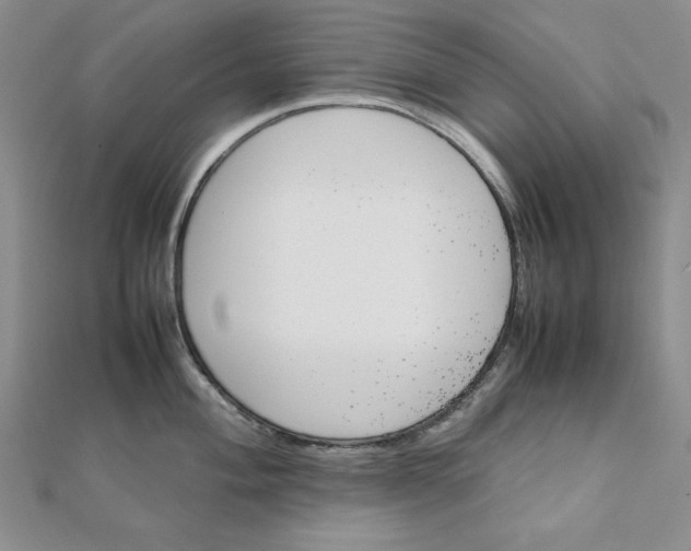 X0000111901004200908101136