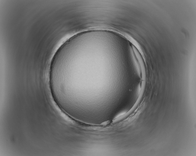 X0000111901005200908101136