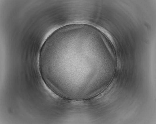 X0000111901006200908101136