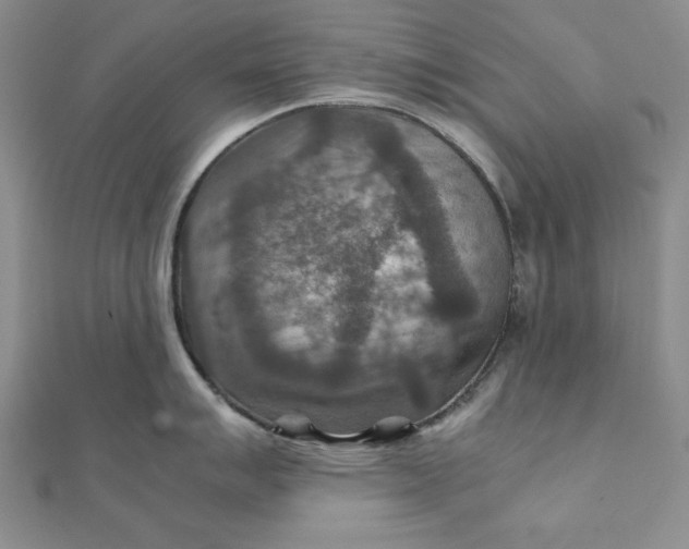 X0000111901007200908101136