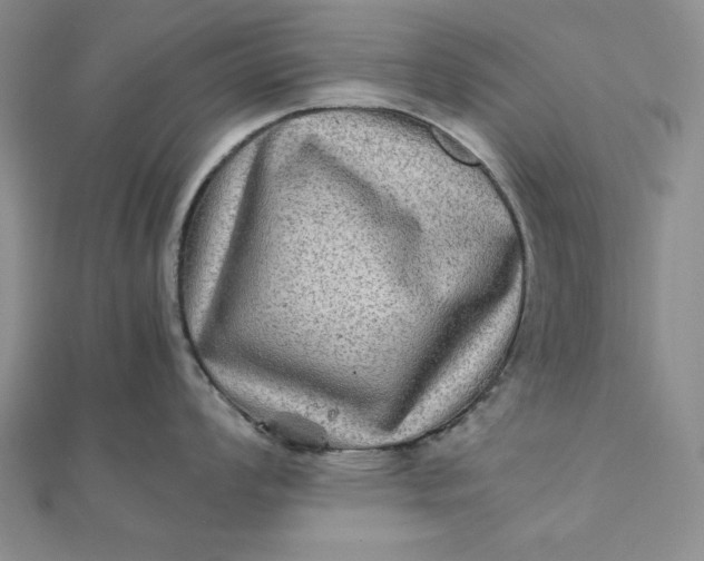 X0000111901008200908101136