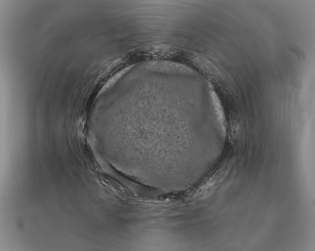 X0000111901010200908101136