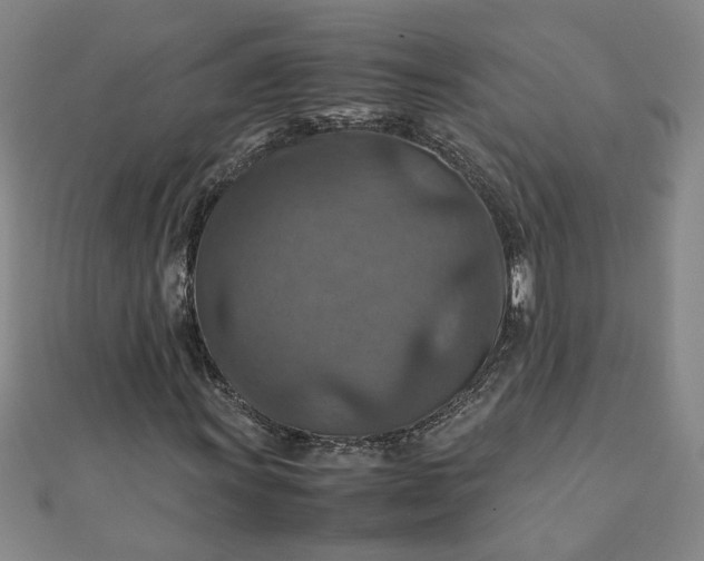 X0000111901011200908101136