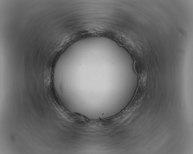 X0000111901012200908101136