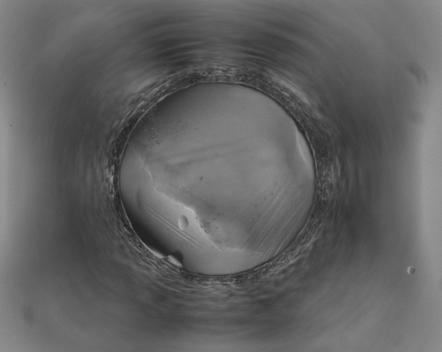 X0000111901013200908101136