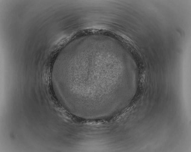 X0000111901014200908101136