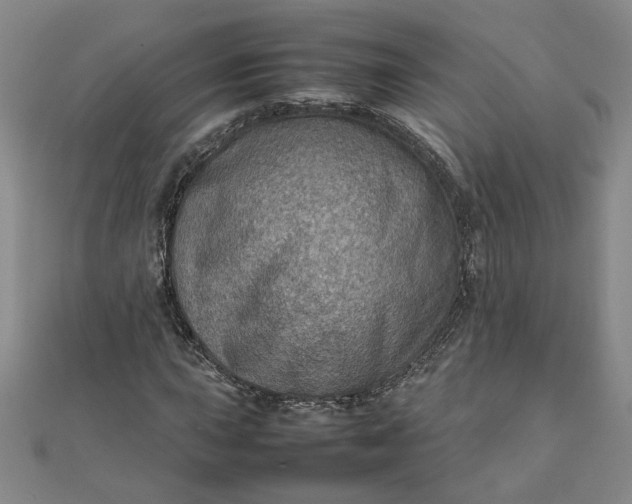 X0000111901015200908101136