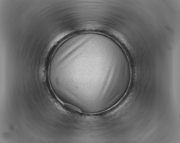 X0000111901018200908101136