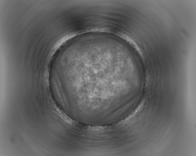 X0000111901019200908101136