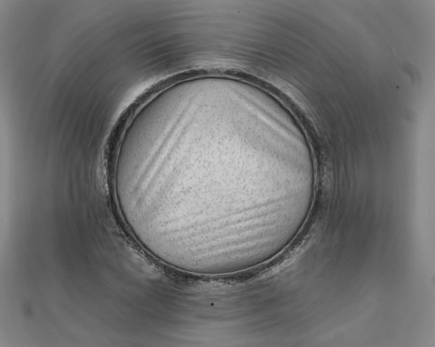 X0000111901022200908101136