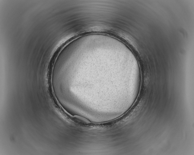 X0000111901026200908101136