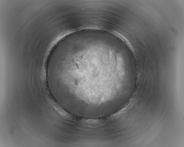 X0000111901027200908101136