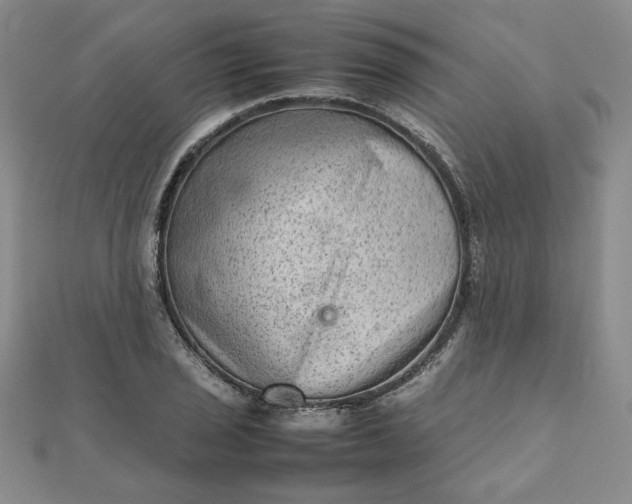 X0000111901029200908101136