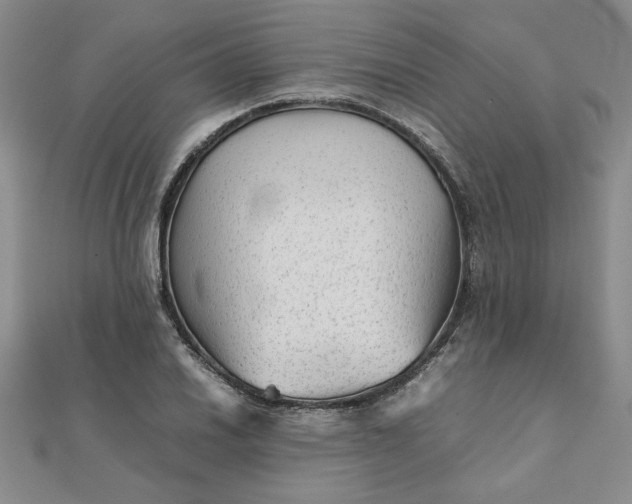 X0000111901030200908101136