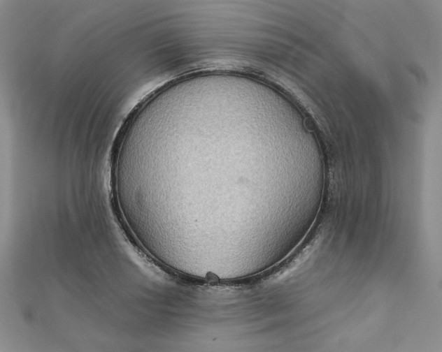 X0000111901034200908101136