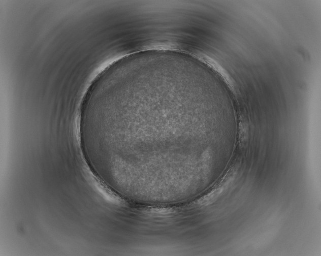 X0000111901035200908101136