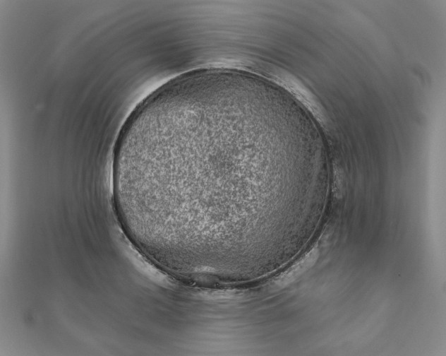 X0000111901036200908101136