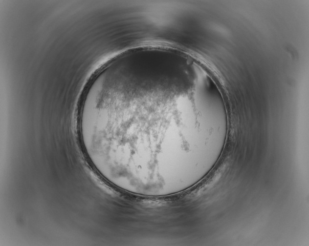 X0000111901037200908101136