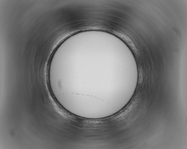 X0000111901039200908101136