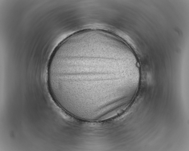 X0000111901040200908101136