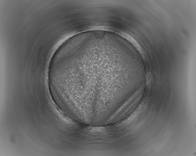 X0000111901043200908101136