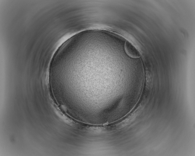 X0000111901044200908101136