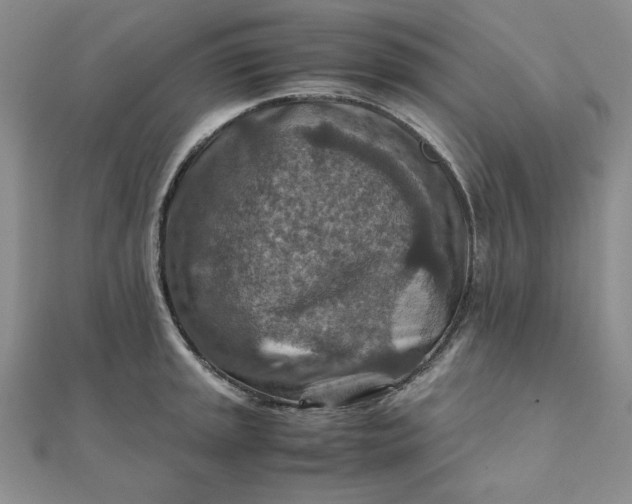 X0000111901045200908101136