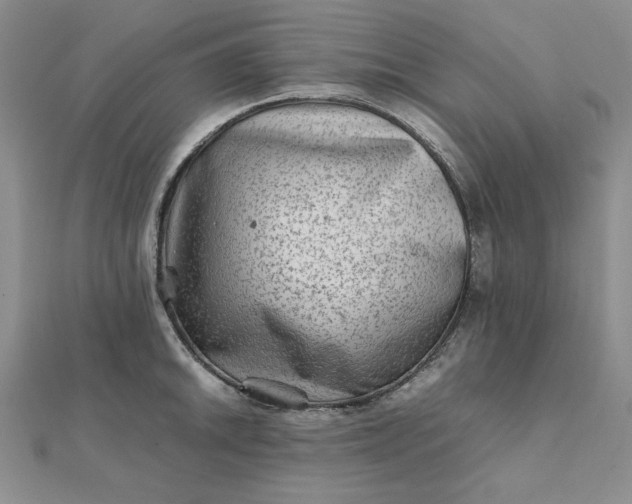 X0000111901046200908101136