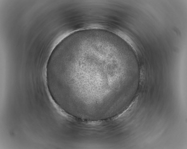 X0000111901047200908101136