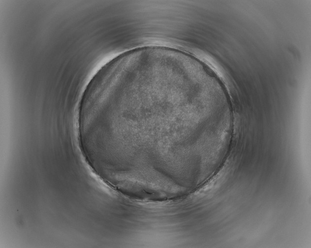 X0000111901048200908101136