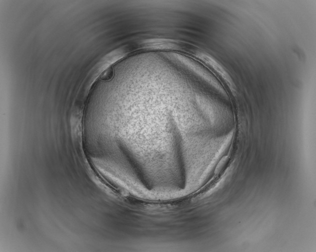 X0000111901049200908101136