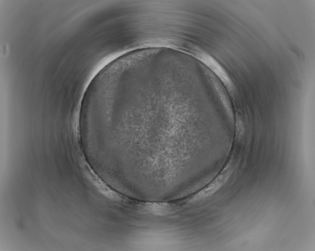 X0000111901052200908101136