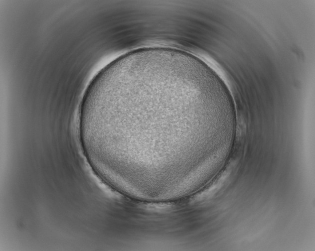 X0000111901053200908101136