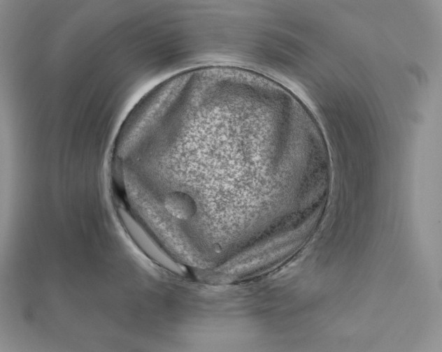 X0000111901056200908101136