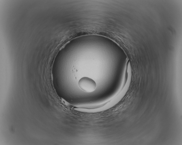 X0000111901057200908101135