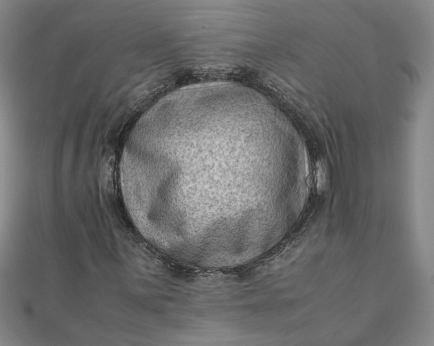 X0000111901059200908101135