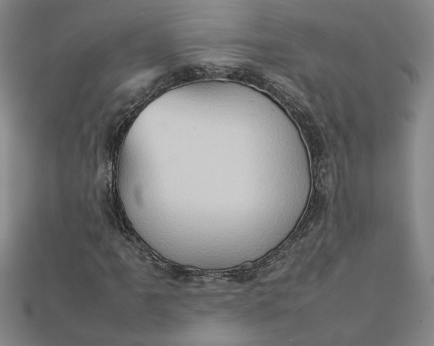 X0000111901061200908101135