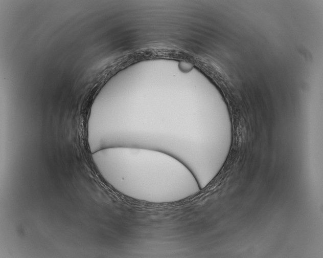 X0000111901062200908101135